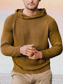 Casual Soft Hooded Sweater
